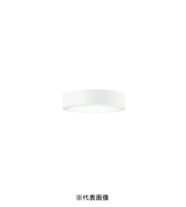 �I�[�f���b�N OL291673NR ���^LED�V�[�����O���C�g �񒲌� ���M��100W���� �����F