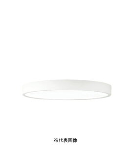 �I�[�f���b�N OL291826BR �����^LED�V�[�����O���C�g�ی^�`10�� R15�N���X2�����E���F�^�C�v �d���F�`�����F �I�t�z���C�g