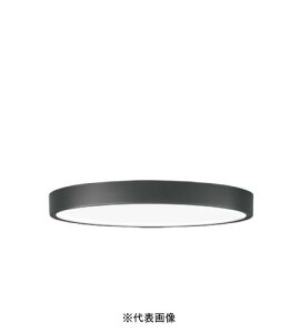 �I�[�f���b�N OL291833BR �����^LED�V�[�����O���C�g�ی^�`12�� R15�N���X2�����E���F�^�C�v �d���F�`�����F �u���b�N