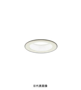 I[fbN OD361041R LEĎ^_ECg FR15NX2 M100W 񒲌 ItzCg 6500k F