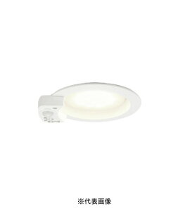 �I�[�f���b�N OD361413LR LED�d���_�E�����C�g �l���Z���T�t ON-OFF�^ ��100 ���C��SB�` �g�U�z��R15�N���X2 ���M��60W���� �d���F