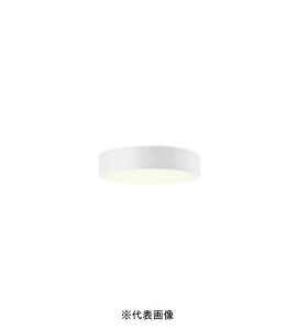 �I�[�f���b�N OL251360R ���^LED�V�[�����O���C�g �񒲌� ���M�����60W���� �d���F