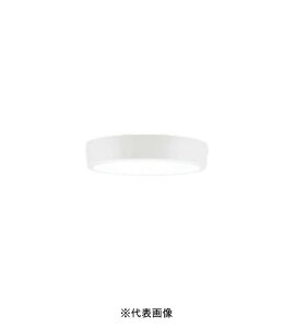 �I�[�f���b�N OL251750R ���^LED�V�[�����O���C�g �񒲌� ���M��100W���� 890lm �����F