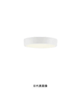 �I�[�f���b�N OL251858R ���^LED�V�[�����O���C�g �񒲌� ���M�����100W���� �����F �C���{�C�X�Ή��E�̎������s��