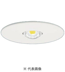 pi\jbN NNFB84605 pƖ \dʒu^ V䖄^100LEDF LED`Vp`6m nQd50`45W