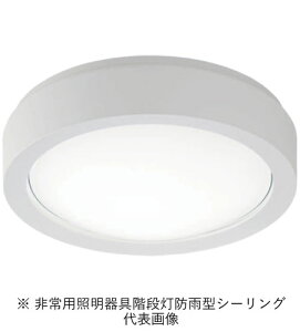 �p�i�\�j�b�N NWCF16105LE1 �h�J�^�V�[�����O�K�i�� �ǁE�V�䒼�t�^ �x�[�V�b�N �z���C�g ������^�C�v 630lm �����F