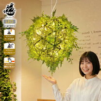 楽天市場】・葉っぱ型のオシャレなライトの通販