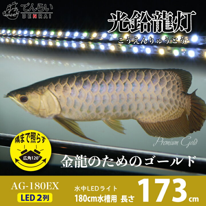 楽天市場】アロワナライト 過背金龍 藍底金龍 水槽ライト 熱帯魚ライト 