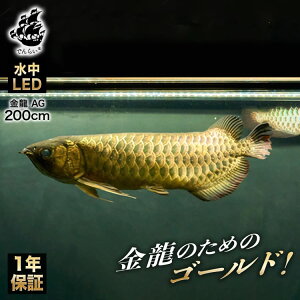  AiCg Cg ߔw MыCg ejOCg LED Ɩ Cg ^  AWAAi S[h arowana L͈ ׂ Ƃ炷 ̐F Y  