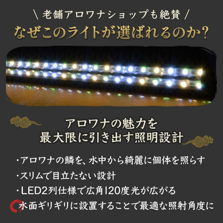 楽天市場】アロワナライト 過背金龍 藍底金龍 水槽ライト 熱帯魚ライト 