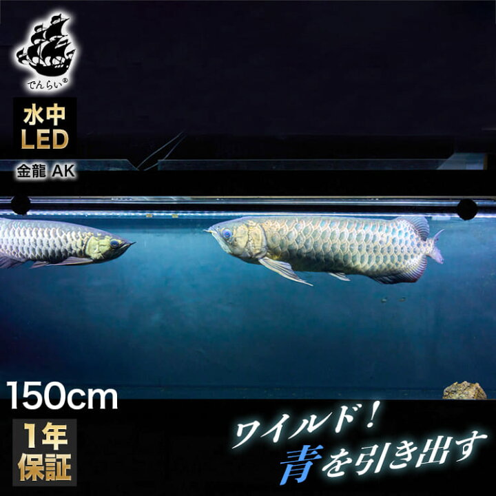 楽天市場】水槽ライト 過背金龍 熱帯魚ライト 藍底金龍 アロワナライト  