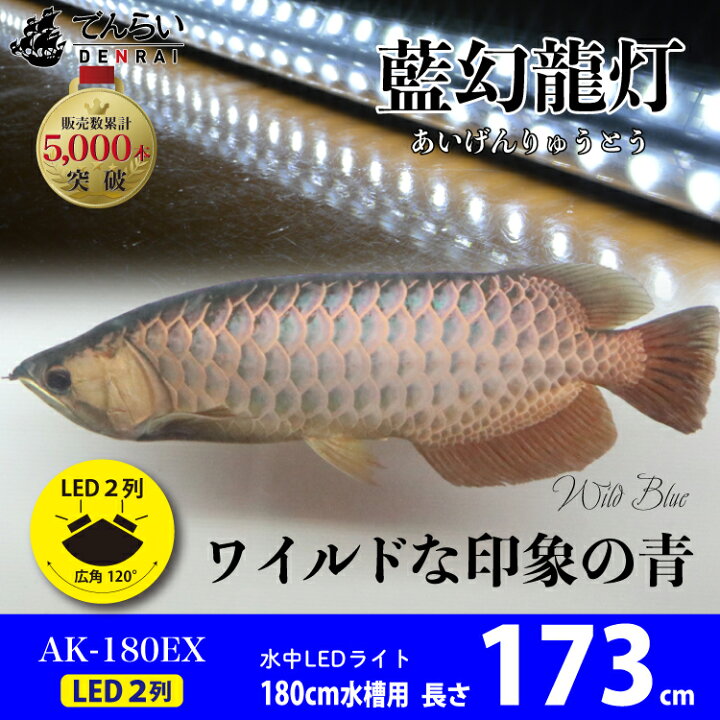 楽天市場】アロワナ ライト アロワナライト 金龍 過背金 180cm水槽用  