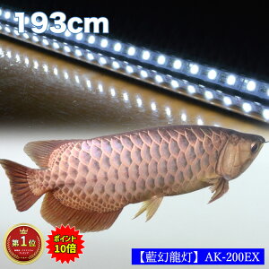 Mw7mraehwgqp5m Mw7mraehwgqp5m