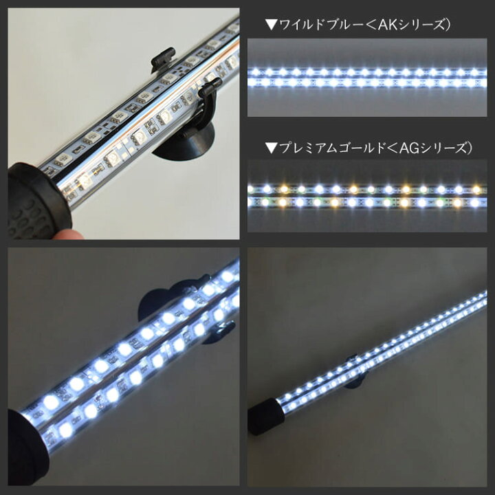 価格は安く アロワナ ライト 金龍 過背金 180cm水槽用 藍幻龍灯 ワイルドブルー Ex Led 2列 水中 照明 水中蛍光灯 でんらい Ak180 Ex Ak Ex 送料無料 Alice Com Ve