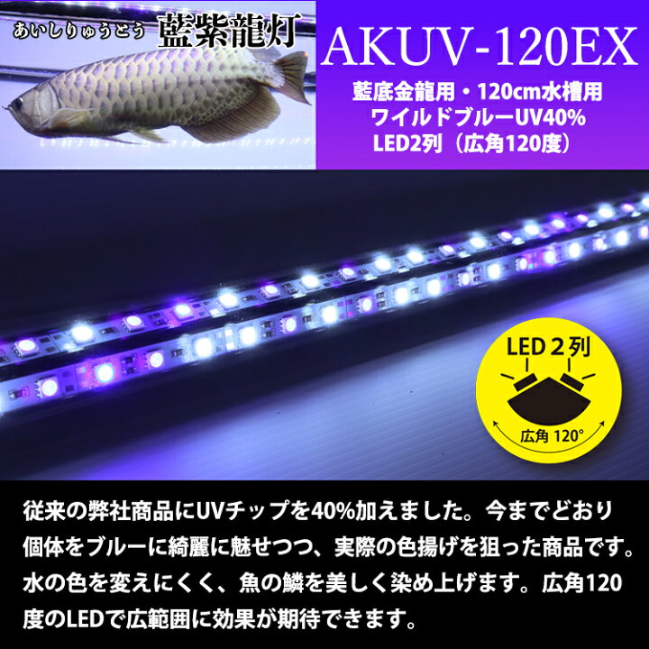 楽天市場】アロワナライト 水槽ライト アロワナ ライト アクアリウム 