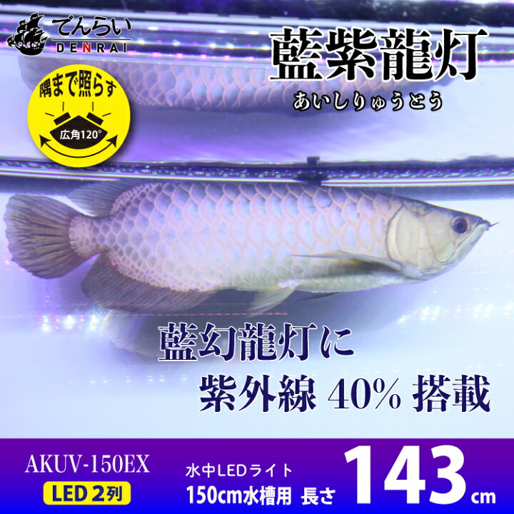 楽天市場 最大35 Off 限定sale アロワナ ライト Uv 紫外線40 金龍 過背金 150cm水槽用 青色 藍紫龍灯 ワイルドブルー A波 日焼け 効果 色揚げ 色揚げ ライト 金龍 Led 2列 水中 照明 水中蛍光灯 ブラックライト ラッショウコウ リュウ グリーンアロワナ アジア 楽天市場 最大35 Off 限定sale アロワナ ライト Uv 紫外線40 金龍 過背金 150cm水槽用 青色 藍紫龍灯 ワイルドブルー A波 日焼け 効果 色揚げ 色揚げ ライト 金龍 Led 2列 水中 照明 水中蛍光灯 ブラックライト ラッショウコウ リュウ グリーンアロワナ アジア
