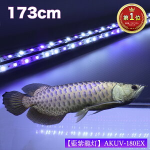 水槽用照明 アロワナ 水槽の人気商品 通販 価格比較 価格 Com