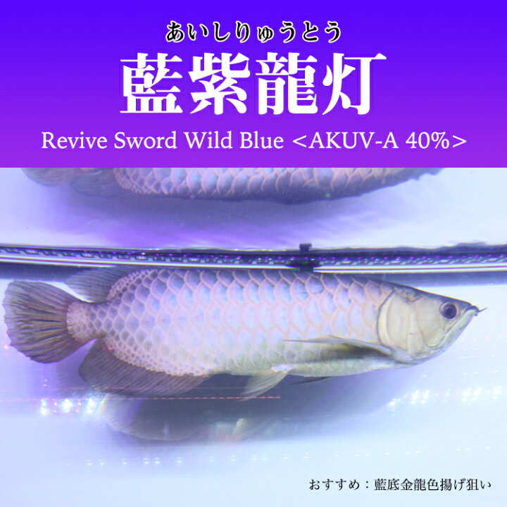 割引 クーポン配布中 アロワナライト 紅龍 2列 レッドアロワナ Led 熱帯魚 金魚 スーパーレッド アジアアロワナ 照明 発色 水中蛍光灯 コウリュウ ナイトメロー 赤く 色揚げ アクアリウム 紫外線 ライト 紅 水中 1cm水槽用 100 サンゴ 金龍 紫熟龍灯 ブラックライト 割引 クーポン配布中 アロワナライト 紅龍 2列 レッドアロワナ Led 熱帯魚 金魚 スーパーレッド アジアアロワナ 照明 発色 水中蛍光灯 コウリュウ ナイトメロー 赤く 色揚げ アクアリウム 紫外線 ライト 紅 水中 1cm水槽用 100 サンゴ 金龍 紫熟龍灯 ブラックライト