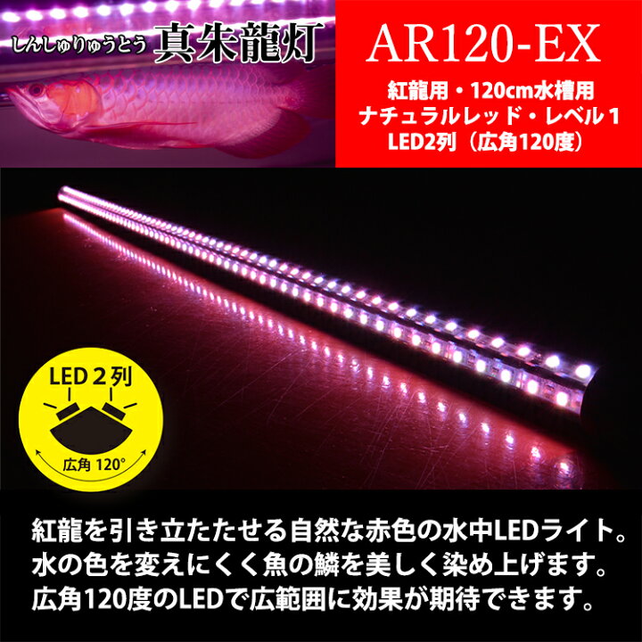 楽天市場】紅龍 水中 スーパーレッド アロワナ ライト LED 水中照明 