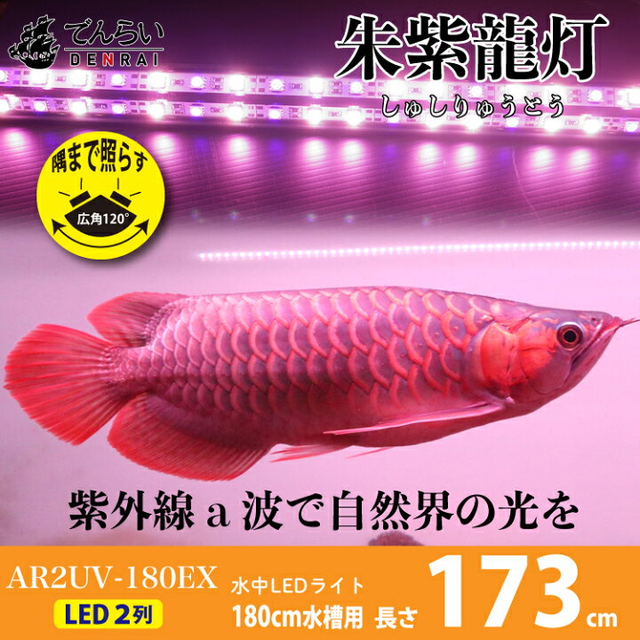 楽天市場】アロワナライト アロワナ ライト 180cm 水槽用 紅龍 朱紫龍  