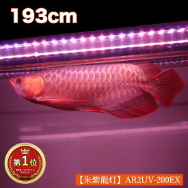 楽天市場 蛍光灯 熱帯魚 アクアリウム ペット ペットグッズ の通販