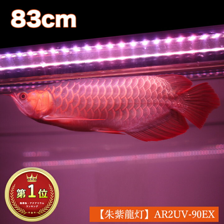 楽天市場 アロワナ ライト 紫外線40 90cm水槽用 紅龍 朱紫龍灯 Uv A波 日焼け 効果 色揚げ 色揚げ ライト 紅龍 金龍 ナイトメロー Led 2列 水中 照明 水中蛍光灯 ブラックライト アジアアロワナ スーパーレッド コウリュウ レッドアロワナ 発色 赤く 紅く テニング