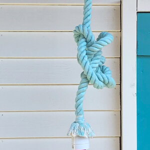 [v y_gCg VƖ ݂艺 |V[O ݂艺Ɩ LED CeA Ɩ Ɩ  {^jJ r[`  킢 g k } _Ng[ Lb`