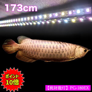 180 水槽の人気商品 通販 価格比較 価格 Com