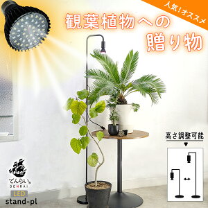 A琬Cg X^h ACg 邢 ƕs Cg  ACg A 琬 led e26 琬Cg ϗtA A    c AX^h O CeA Vv