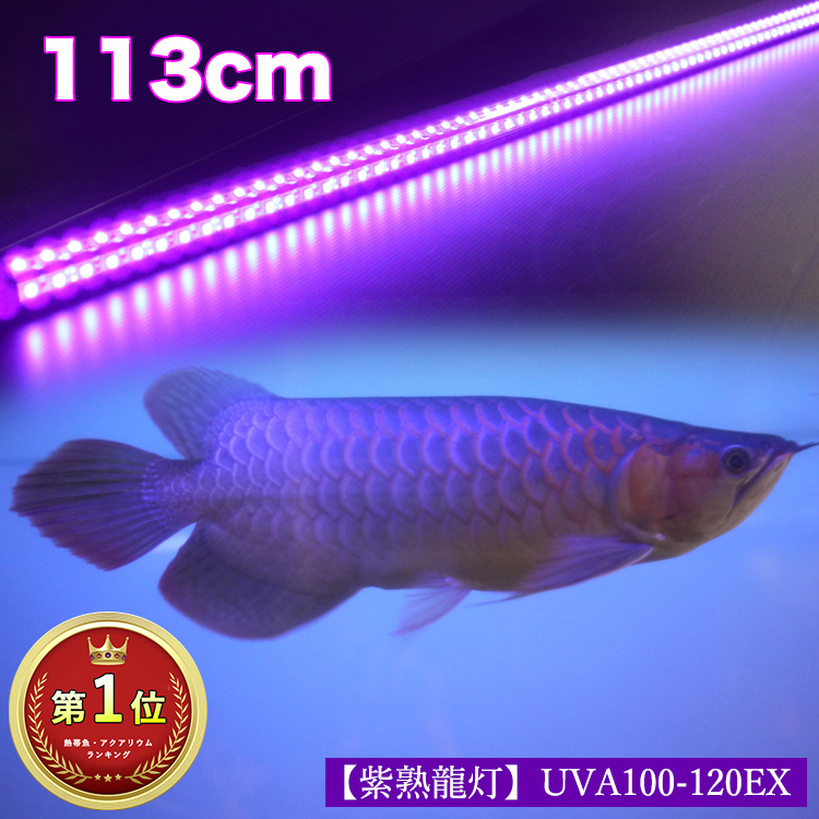 水槽用照明 紫外線 LED ライトの人気商品・通販・価格比較 - 価格.com