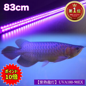 90cm 水槽 金魚の人気商品 通販 価格比較 価格 Com