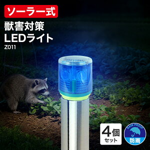 y4ZbgzfރCg \[[Cg O 邢  h ߍ  F u[ bQ ΍ \[[ LED _ hb Cg    쐶 L  lY~ Qb Q 