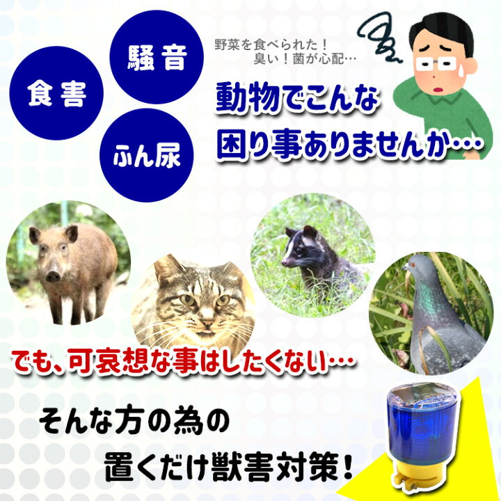 楽天市場 4個セット 獣害 対策 ソーラー Led 自動点灯 ライト 猪 野生動物 猫 犬 ネズミ 害獣 害鳥 被害 防獣 鳥害 忌避 糞 尿 防犯 太陽光 畑 農業 ソーラー式 Z011 4 送料無料 でんらい