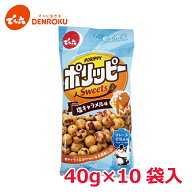 【エントリー&お気に入り登録でポイントGET！】ポリッピー塩キャラメル味 40g×10袋入 【Eサイズ】 でん…