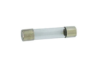 6.35×32mm�X���[�u���[�q���[�Y10��(250V/50mA)