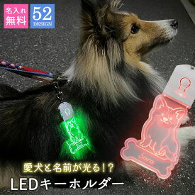 キーホルダー 迷子札 光る LED ペット 犬 リード 首輪 ペンダント おしゃれ ライト お散歩 かわいい ネームプレート ギフト プレゼント アクリル 夜道 安全 ライト ハーネス 大型犬 小型犬 中型犬 ペット用品 補助 リード 名入れ 名前入り 名前 ネーム 名入り 名入れ無料