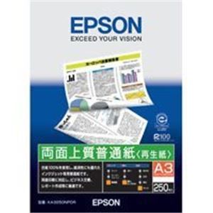 その他 (業務用40セット) エプソン EPSON 両面普通紙 KA3250NPDR A3 250枚 ds-1730694