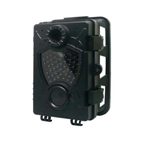 �_�C�g�N ���f�B�A���g2K TL-8000DTK