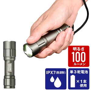 エルパ LED ハンドライト 100ルーメン 単3×1本 フォーカス機能付 DOP-EP410