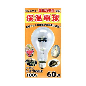  qRۉd 60W 100V60WPS80E26