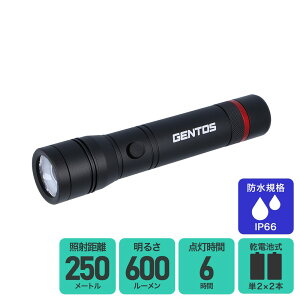 WFgX tbVCg NV[h RX-022DS