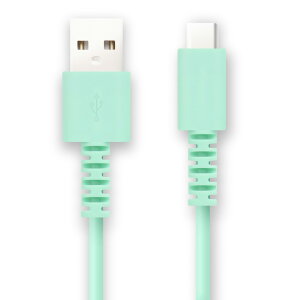 FSC TYPE�|C�P�[�u��1M FS-UAC100-BL