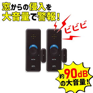 �y���p�b�P�[�W�i�Z�[���z�G���p ���^�E�C���h�E�A���[�� �Ռ�&�J�����m �u���E�� 2�� ASA-W13-2P(BR)�y�Z�[���z