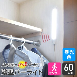 Gp 񂽂 ^o[Cg ACd | 肩 ZT[ R | 30cm 60cm 90cm | F dF |yPUPz
