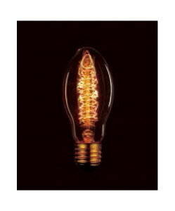 pd Be[Wv Md 110V40W E75 F5 E26