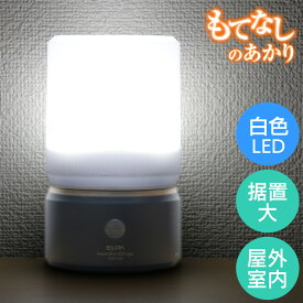 エルパ もてなしのあかり LED 明暗人感センサーライト 据置 大型 ダークブラウン HLH-1202 (DB)