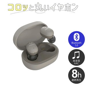 �i�K�I�J ���S���C�����X�C���z�� L102BEANCG