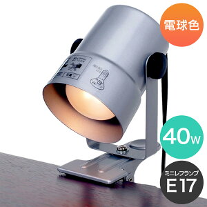 Gp NbvCg 40W V[g Vo[ SPOT-CR40(SL)