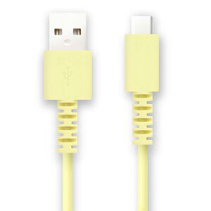 FSC Type�|C�P�[�u��1�D0M FS-UAC100-YG