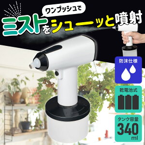 Gp I[gXv[ ^Cv DS-01MS / dFvbV ~XgY[bƏoÂ